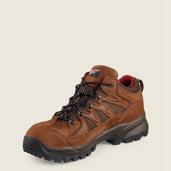 Bottes de Randonnée Red Wing - Truhiker - 3-Inch Waterproof Safety Toe - Marron - Homme 192SCTWOZ